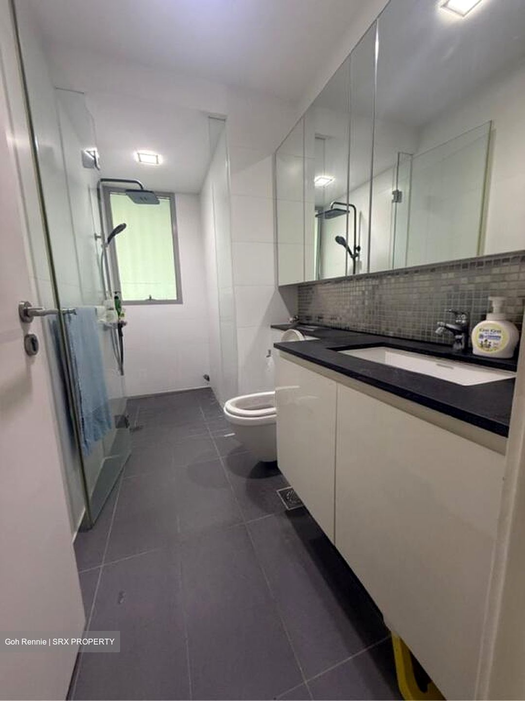 The Minton (D19), Condominium #497183141